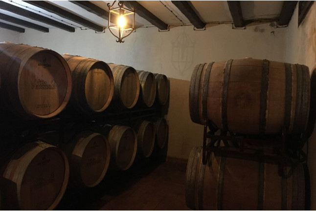 Visita Guiada a Bodegas Viña Placentina con Cata de 2 Vinos y Tapas para dos (Plasencia, Cáceres)