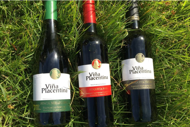 Visita Guiada a Bodegas Viña Placentina con Cata de 2 Vinos y Tapas para dos (Plasencia, Cáceres)