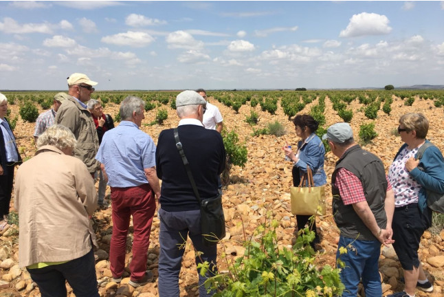 Visita "Conoce Legado de Orniz" con Degustación de Vinos para dos (San Román de Hornija, Valladolid)