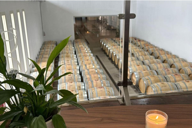 Visita "Conoce Legado de Orniz" con Degustación de Vinos para dos (San Román de Hornija, Valladolid)