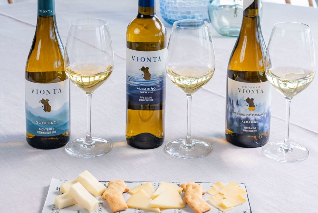 Visita Tradicional a Bodegas Vionta con Cata de Vinos para dos (Meaño, Pontevedra)