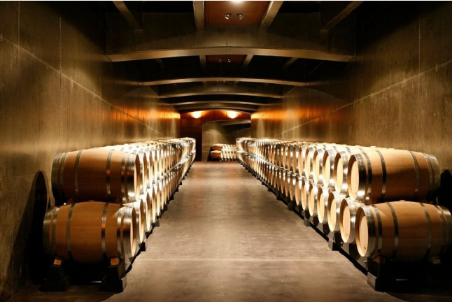 Degustación de Vino con Entrada y Visita Guiada al Museo Vivanco de la Cultura del Vino en BODEGAS VIVANCO (Briones, La Rioja)