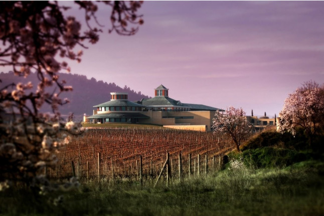 Degustación de Vino con Entrada y Visita Guiada al Museo Vivanco de la Cultura del Vino en BODEGAS VIVANCO (Briones, La Rioja)