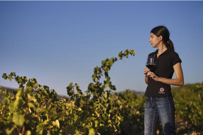 Visita a Viñedos y a Bodegas Volver con Cata y Maridaje para dos (Pinoso, Alicante)