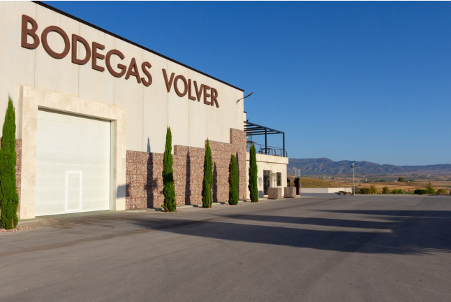 Visita a Viñedos y a Bodegas Volver con Cata y Maridaje para dos (Pinoso, Alicante)