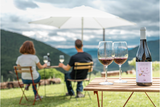 Visita a Bodegas Bal Minuta con Cata de Vino y Circuito Spa en Balneario Panticosa 4* para dos (Huesca) 