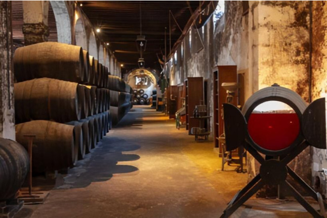 Visita a Bodegas Osborne con Cata de Vinos y Circuito Spa con Comida Romántica para dos (Cádiz)
