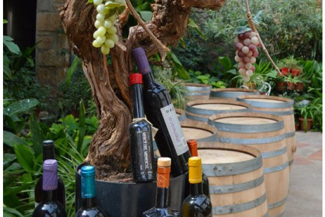Visita a Bodega y Cata de Vinos para dos en Celler Cal Menescal (Tarragona)