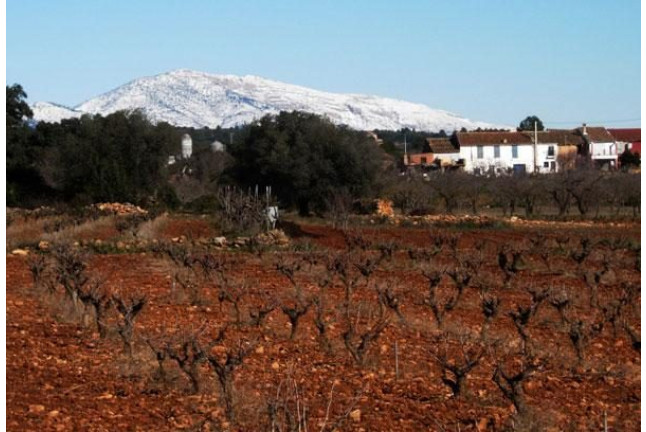 Visita a Bodega y Degustación de Vinos para dos en Bodega Les Useres (Castellón)