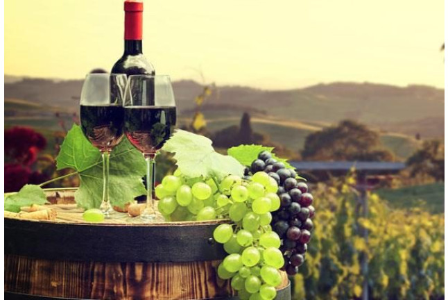 Visita a Bodega y Degustación de Vinos para dos en Bodega Les Useres (Castellón)