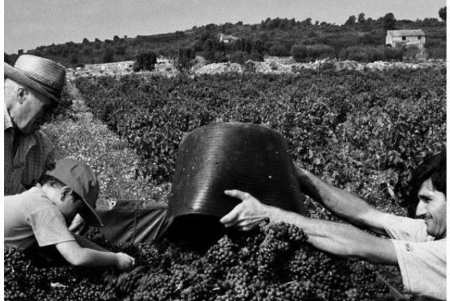 Visita a Bodega y Degustación de Vinos para dos en Bodega Les Useres (Castellón)