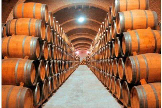 Visita a las Bodegas Irache con Degustación de Vinos y Aperitivo para dos (Navarra) 