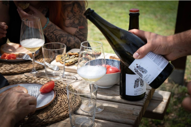 Brunch Entre Viñas: Visita a los Viñedos y Brunch en Finca Mas Perdut (Santa Oliva, Tarragona)