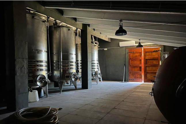 Brunch Entre Viñas: Visita a los Viñedos y Brunch en Finca Mas Perdut (Santa Oliva, Tarragona)