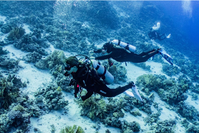 Bautismo de Buceo con Fotos y Vídeo (San Pedro del Pinatar, Murcia)