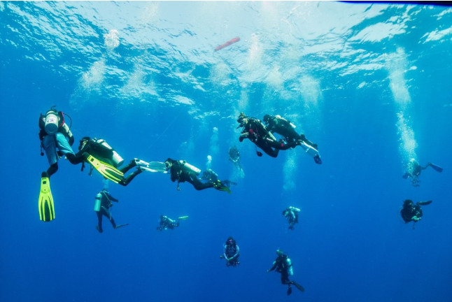 Bautismo de Buceo con Fotos y Vídeo (San Pedro del Pinatar, Murcia)