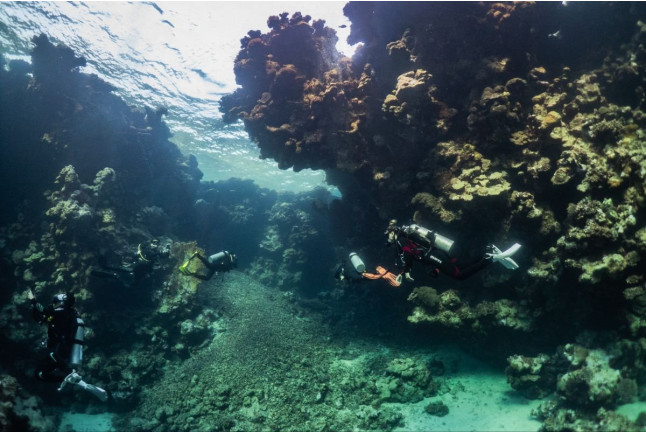 Bautismo de Buceo con Fotos y Vídeo (San Pedro del Pinatar, Murcia)