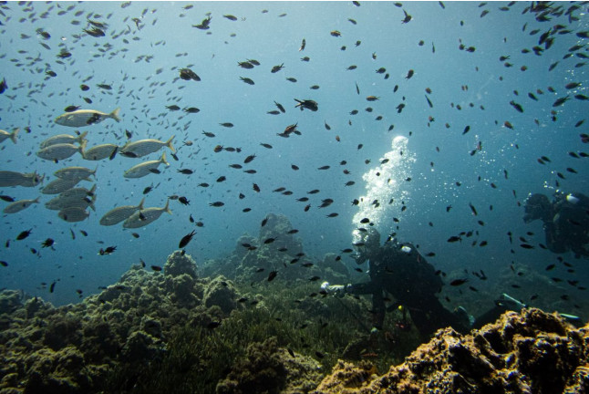 Bautismo de Buceo con Fotos y Vídeo (San Pedro del Pinatar, Murcia)