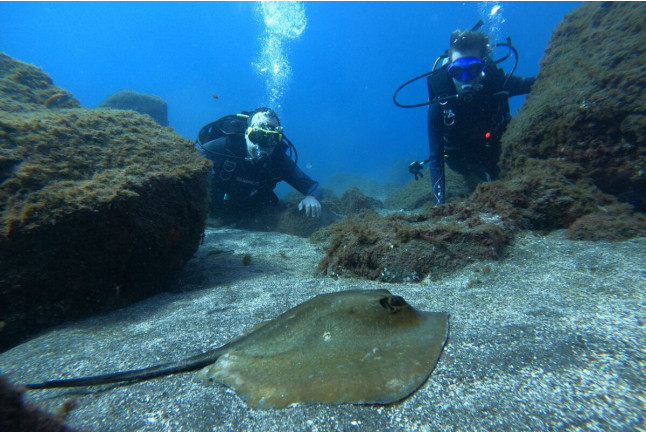 Bautizo de Buceo en la Reserva Natural Protegida de La Caleta de Adeje (Tenerife)
