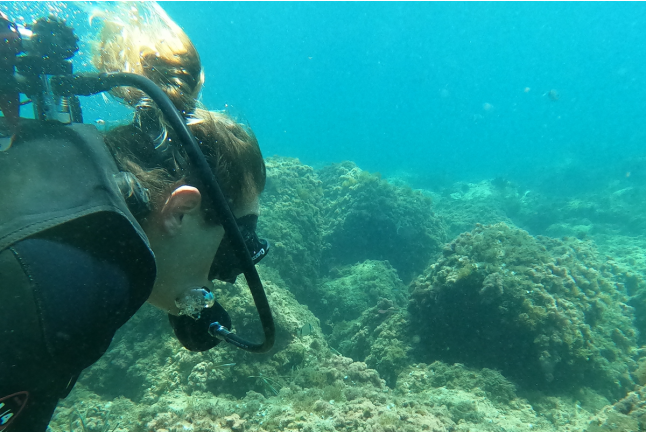 Iniciación de Buceo con Reportaje Fotográfico para dos: Discover Scuba Diving (Calpe, Alicante)