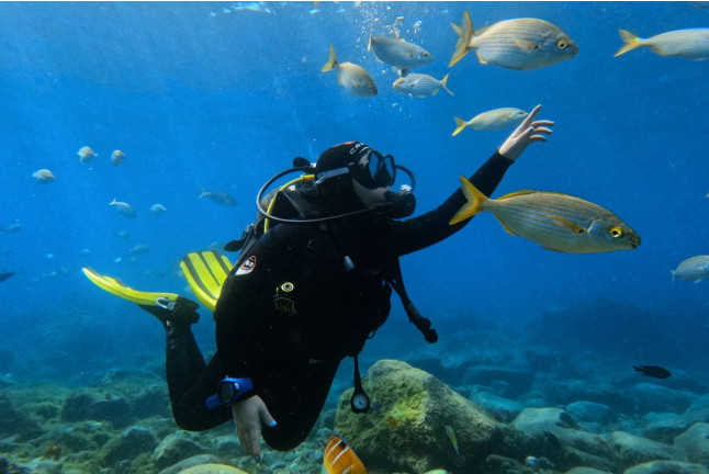 Bautismo de Buceo desde Barco en Costa Adeje (Santa Cruz de Tenerife)
