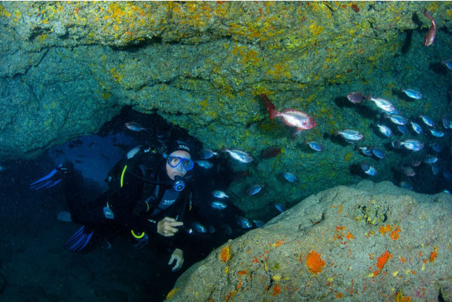Bautismo de Buceo desde Barco en Costa Adeje (Santa Cruz de Tenerife)