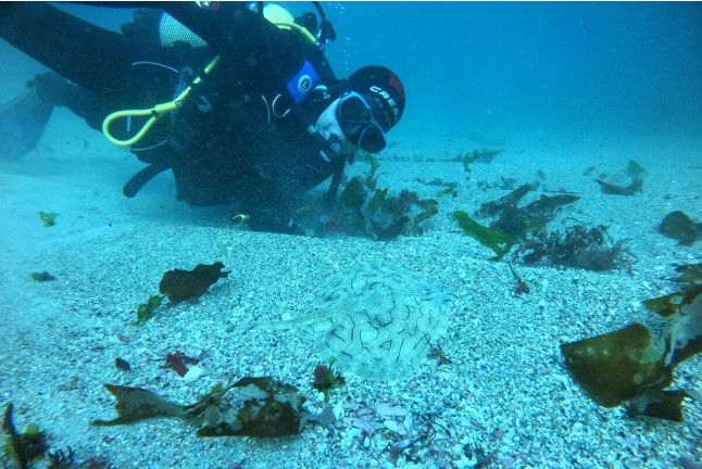 Bautismo de Buceo (Finisterre, A Coruña)