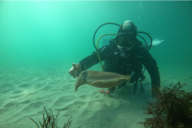 Bautismo de Buceo (Finisterre, A Coruña)