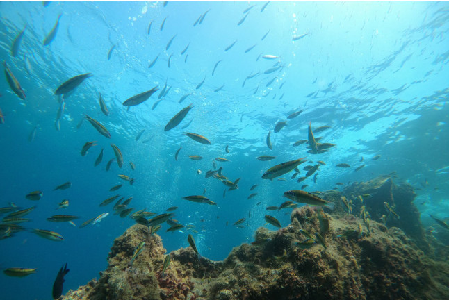 Bautismo de Buceo (Las Palmas, Lanzarote)