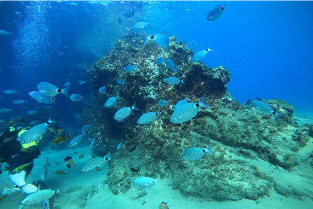 Bautismo de Buceo (Las Palmas, Lanzarote)