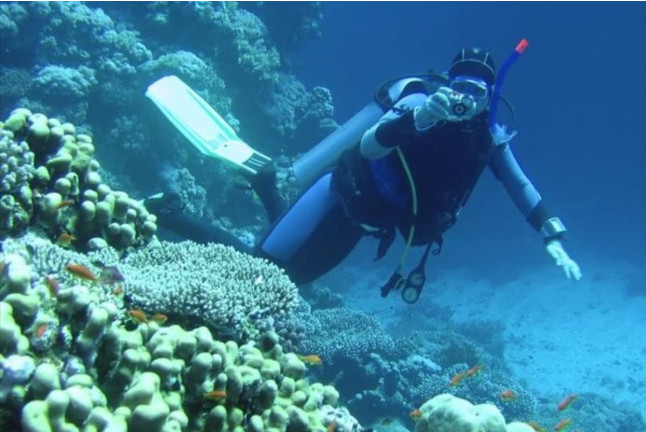 Bautismo de Buceo en el Mar y Reportaje Fotográfico para dos (Tenerife)