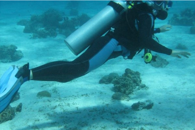 Bautismo de Buceo en el Mar y Reportaje Fotográfico para dos (Tenerife)