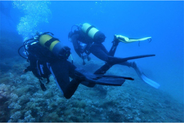 Bautizo de buceo en el mar con instructor personal (Mataró, Barcelona)
