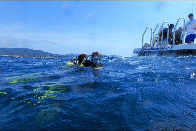 Bautizo de buceo en el mar con instructor personal (Mataró, Barcelona)