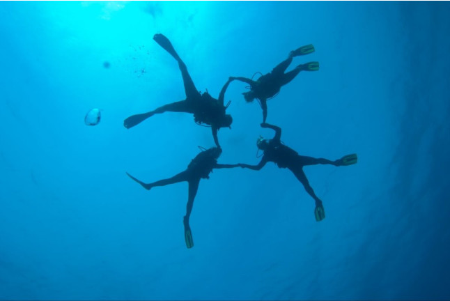 Descubre el  Buceo PADI para dos (Tossa de Mar, Girona)