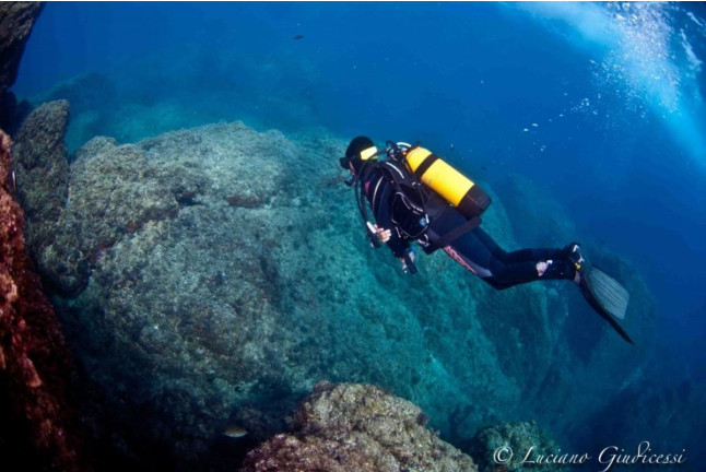 Descubre el  Buceo PADI para dos (Tossa de Mar, Girona)