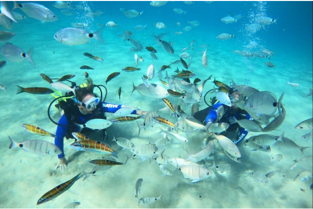 Bautizo de Buceo (Playa del Jablillo, Lanzarote)