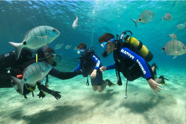 Bautizo de Buceo (Playa del Jablillo, Lanzarote)