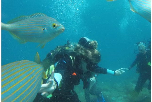 Bautismo de Buceo para dos (Playa de Las Vistas, Tenerife)