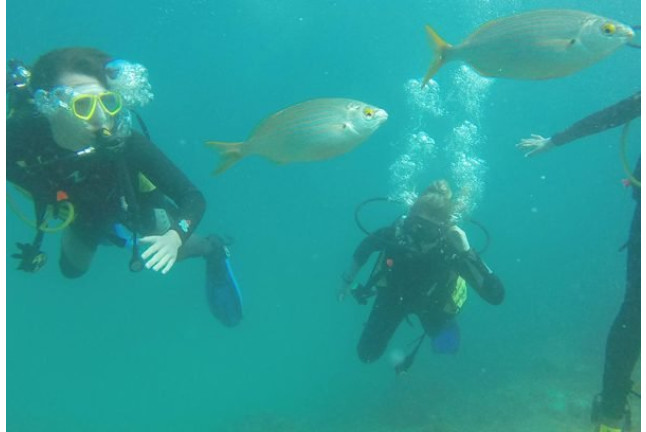 Bautismo de Buceo para dos (Playa de Las Vistas, Tenerife)