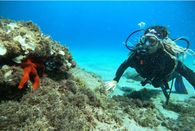 Bautismo de Buceo en Puerto del Carmen o Costa Teguise (Lanzarote)
