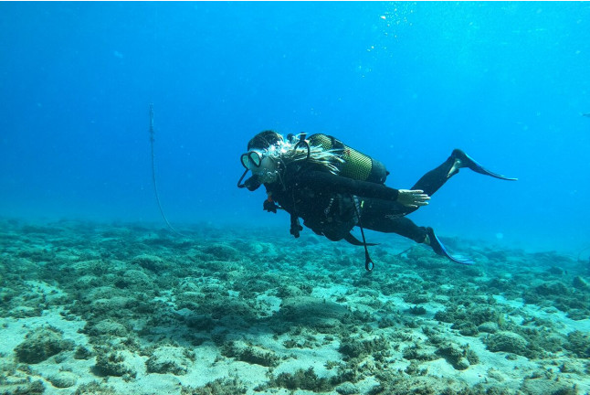 Bautismo de Buceo en Puerto del Carmen o Costa Teguise (Lanzarote)