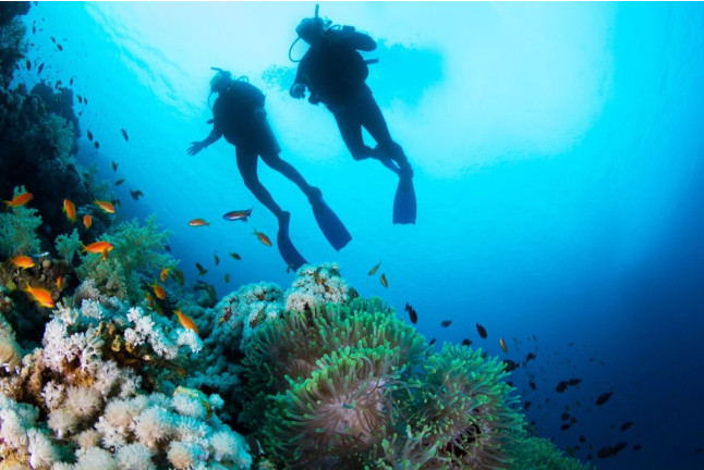 Bautismo de Buceo con Fotos y Vídeos (San Andrés, Tenerife)