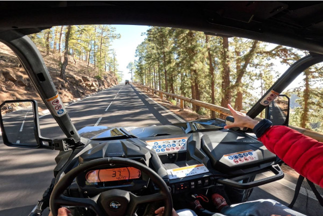 Sunset Adventure: Ruta en Buggy al Atardecer para dos (Tenerife)