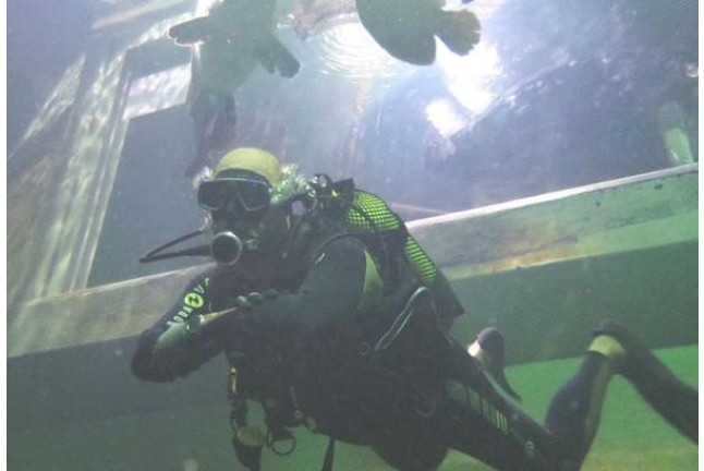 Bautismo de Buceo en el Acuario de Zaragoza (Zaragoza)
