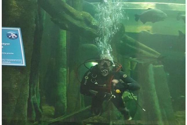 Bautismo de Buceo en el Acuario de Zaragoza (Zaragoza)