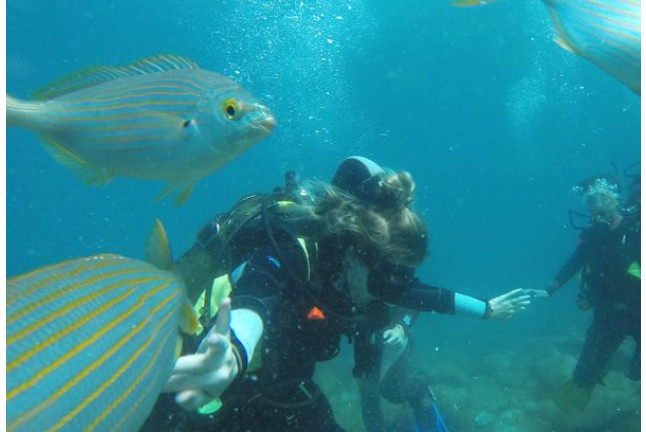 Bautismo de Buceo (Playa de Las Vistas, Tenerife)
