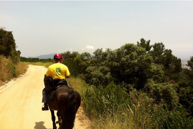 Paseo a Caballo por el Parque Natural de Collserola para dos (Sant Cugat, Barcelona)