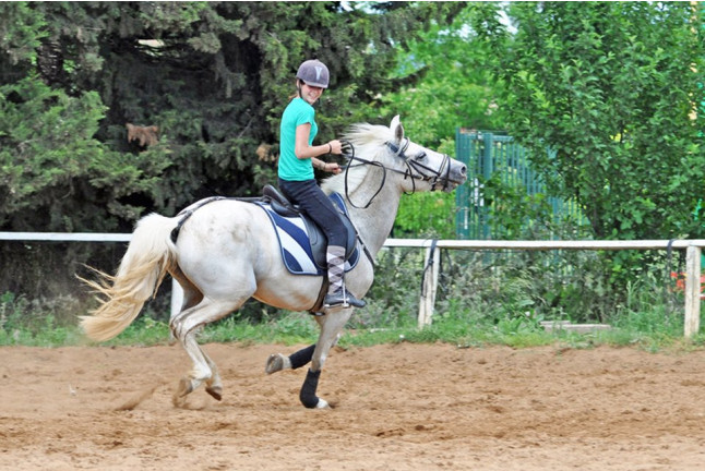 Curso de Iniciación a la Equitación en Hípica Severino (Sant Cugat, Barcelona)