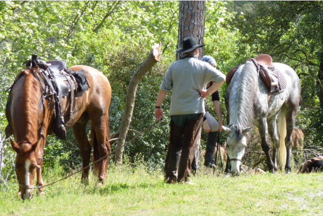 Paseo a Caballo por el Parque Natural de Collserola para dos (Sant Cugat, Barcelona)